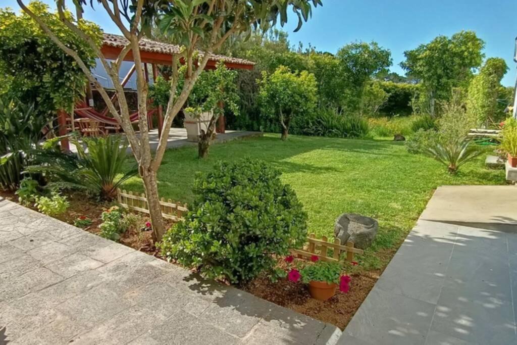 Hébergement de vacances Casa Azores Zen